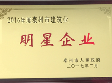 2016年度泰州市建筑業明星企業