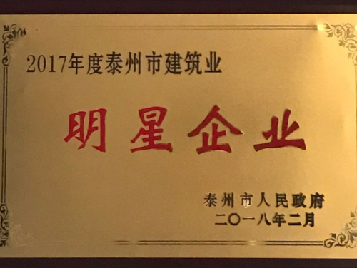 2017年泰州明星企業